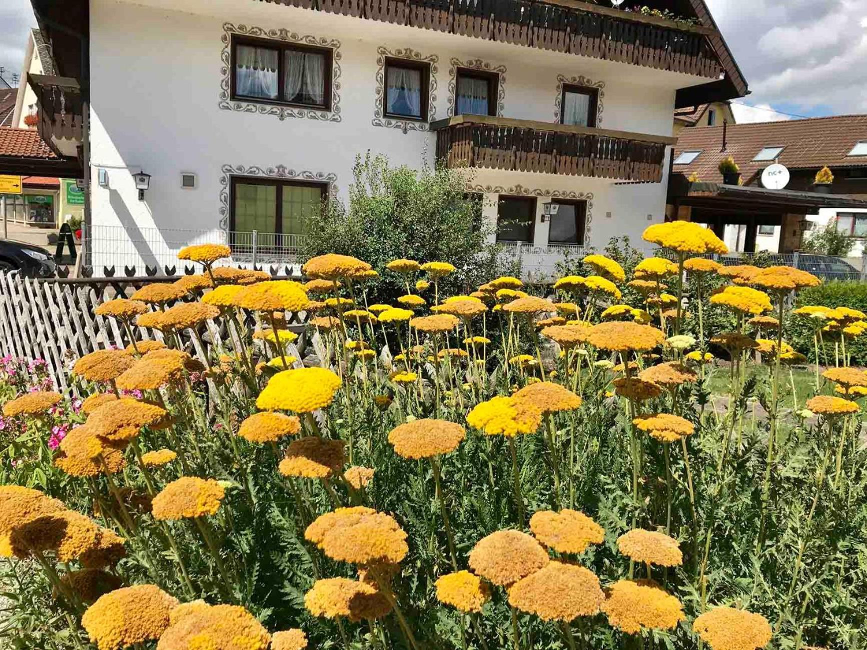 Gaestehaus Roessle Rötenbach Exterior foto